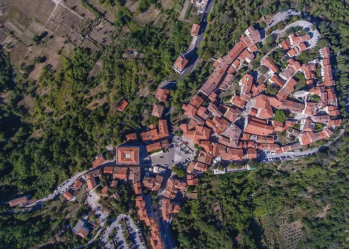 Cozy In With Wifi 라벡