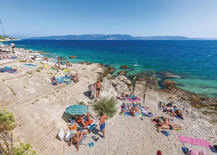 Cozy In With Wifi 라벡